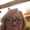 Photo of Diane M.