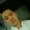 Photo of Enerelt Z.