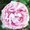 Photo of Theresa M.