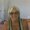 Photo of Diane S.