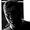 Photo of Paul V.