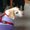 Photo of Ginger R.