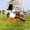 Photo of Afesha C.
