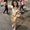 Photo of Jessica S.