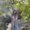 Photo of Arlyn S.