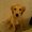Photo of Sam N.