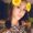 Photo of Breanna N.