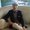 Photo of Cristian A.