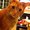 Photo of Peachie N.