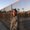 Photo of Brijette M.