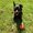 Photo of Qype User (Auswär…)