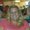 Photo of Angie L.
