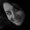 Photo of Sharon B.