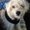 Photo of Tink C.