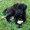 Photo of Gretel G.