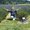Photo of Sandra S.