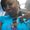 Photo of Ms F.