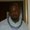 Photo of Bilal J.