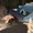 Photo of Toni P.