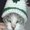 Photo of Mr Kitty K.