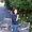 Photo of Lisa M.