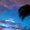 Photo of S B.