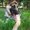 Photo of Brittany S.