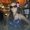 Photo of Sherri J.