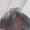 Photo of Khoa L.