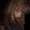 Photo of Pam E.