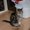Photo of Marlayne G.
