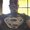 Photo of Jermaine R.