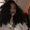 Photo of Coreen V.