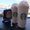 Photo of Duyen N.