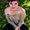 Photo of Jenna S.