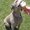 Photo of Qype User (LovesA…)