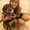 Photo of Carissa R.