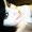 Photo of Qype User (Aimeew…)