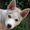 Photo of Kevin H.
