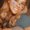 Photo of Kayla S.