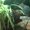 Photo of Katia G.