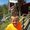 Photo of Steve S.