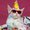 Photo of Meow M.