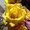 Photo of Rona S.