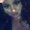 Photo of Kortney S.