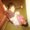 Photo of Contact H.