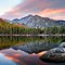 Photo of Joanna H.