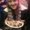 Photo of Katelyn O.