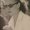 Photo of Amy G.