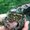 Photo of Susan G.